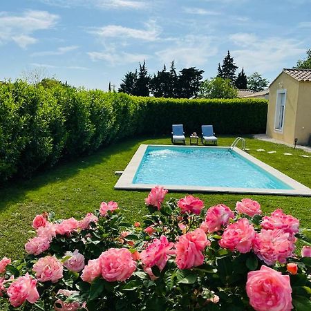 Un Coin Tropical En Provence ! Hotel LʼIsle-sur-la-Sorgue Eksteriør billede