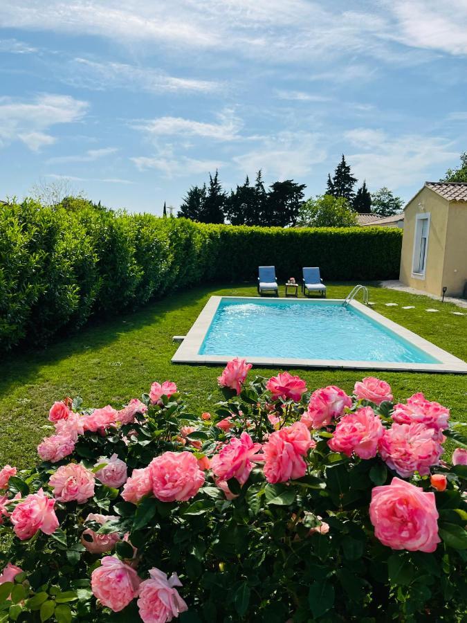 Un Coin Tropical En Provence ! Hotel LʼIsle-sur-la-Sorgue Eksteriør billede