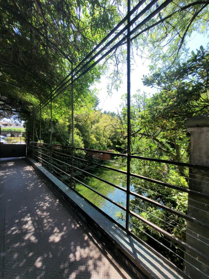 Un Coin Tropical En Provence ! Hotel LʼIsle-sur-la-Sorgue Eksteriør billede